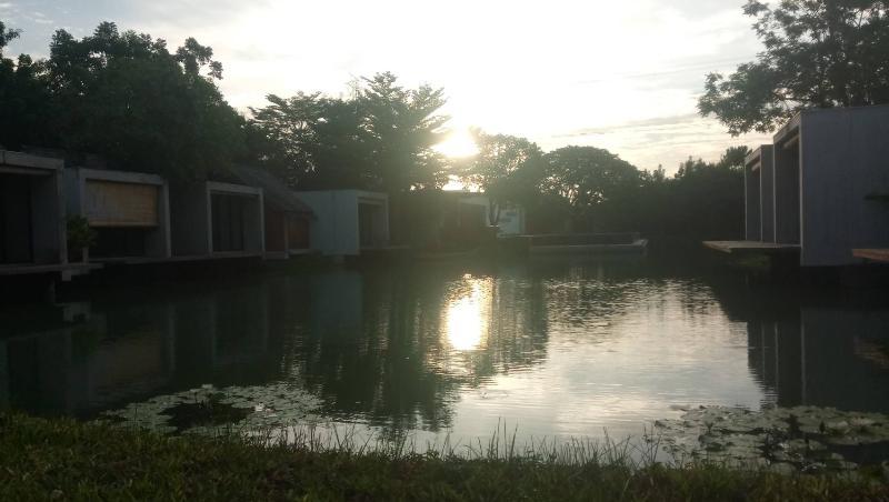 Into The Forest Resort Bangkok Bagian luar foto